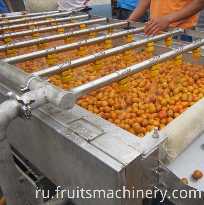 Automatic cranberry processing line